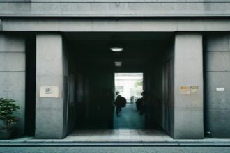 Carreiras Públicas: Seu Guia Passo a Passo para Planejar e Crescer no Serviço Público