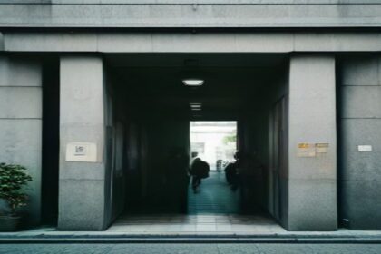 Carreiras Públicas: Seu Guia Passo a Passo para Planejar e Crescer no Serviço Público